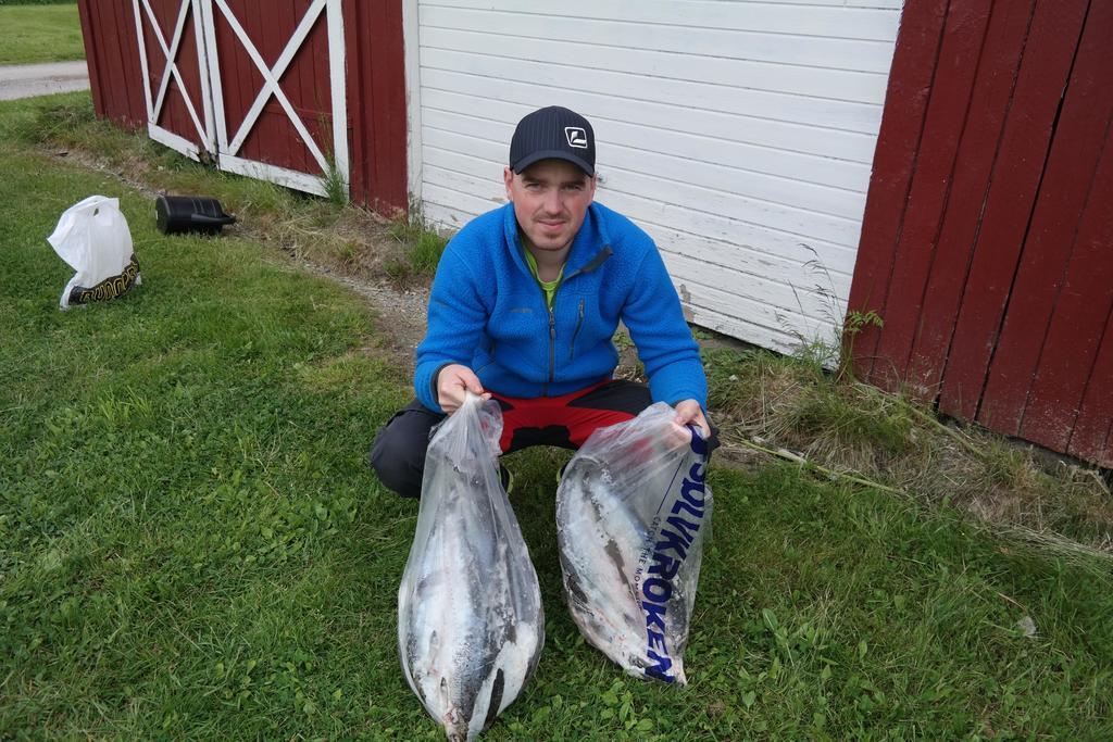 Holmset Camping And Fishing Namdalseid Exteriér fotografie